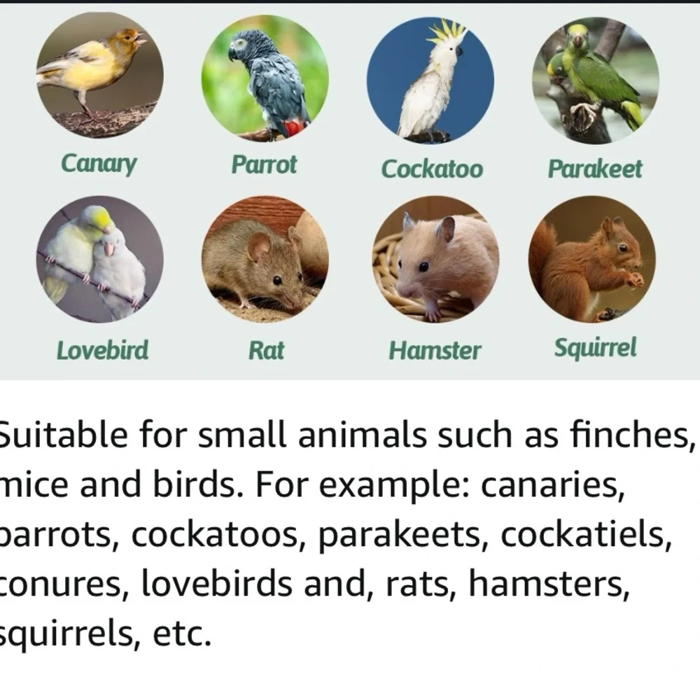 Small Pets ladder hammock birds mice rats hamsters 2 new hooks cage 24”x14.5”